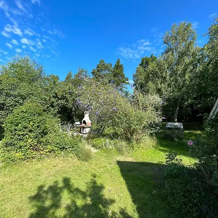 On Large Nature Plot Knebel