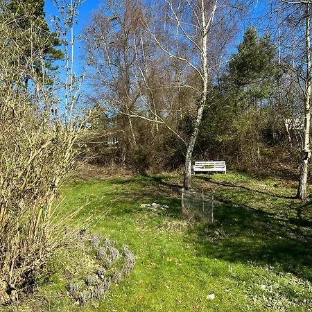 On Large Nature Plot *